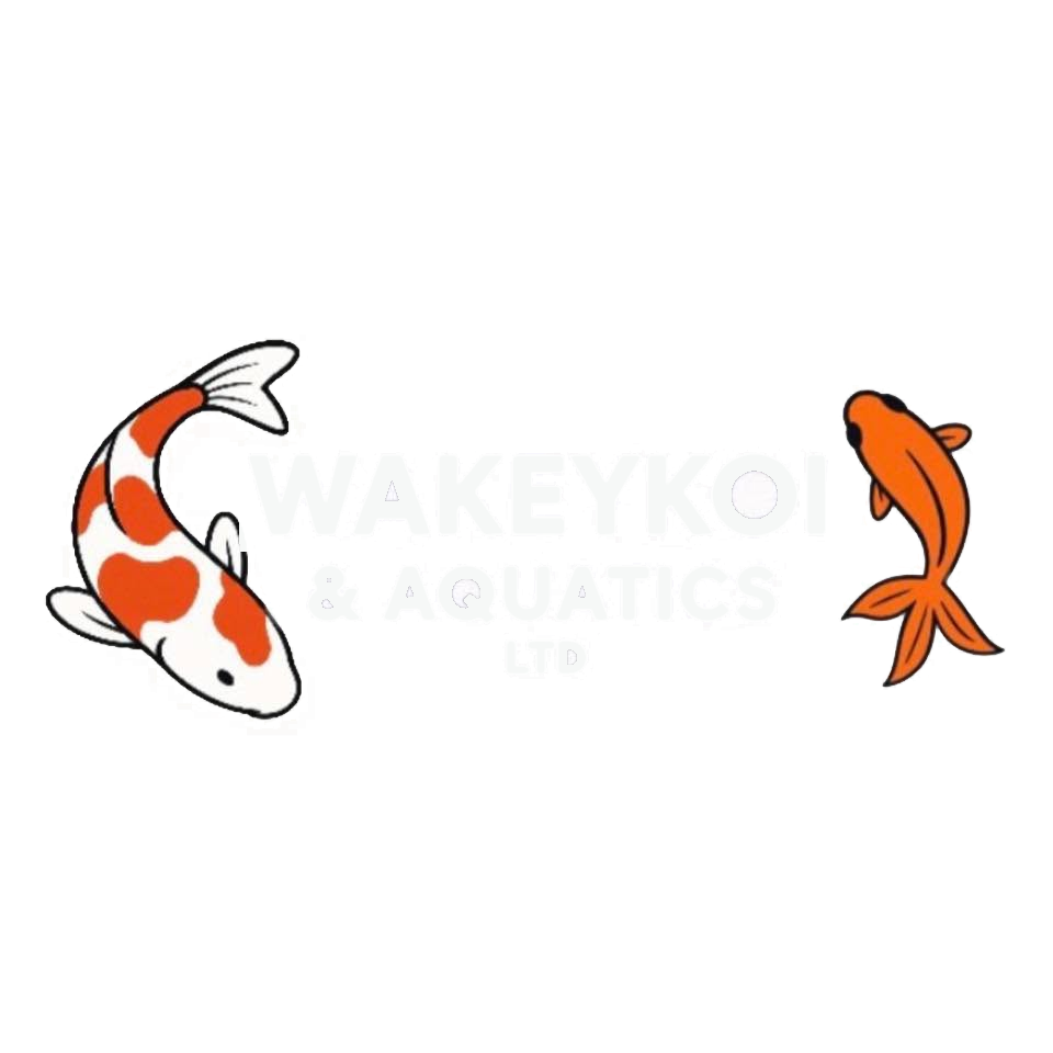 Wakey Koi and Aquatics logo